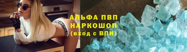 индика Балабаново