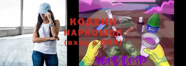 прущие грибы Аркадак
