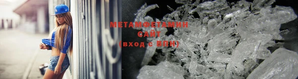 прущие грибы Аркадак