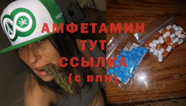 прущие грибы Аркадак