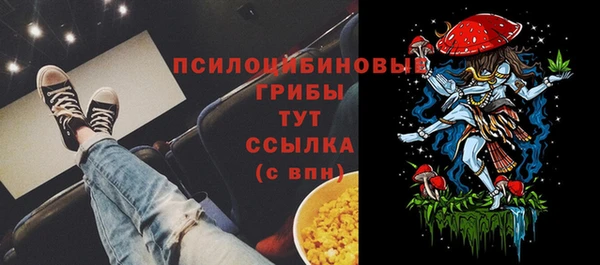 гидра Баксан
