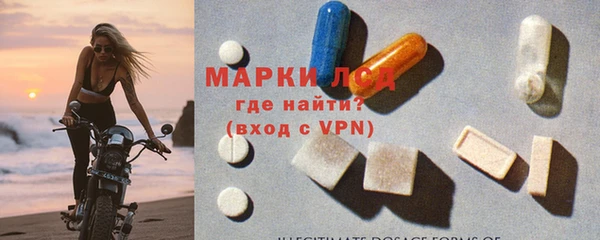 прущие грибы Аркадак