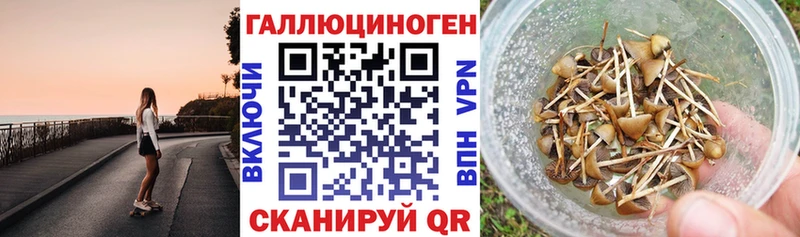 Псилоцибиновые грибы мицелий  Кудымкар 